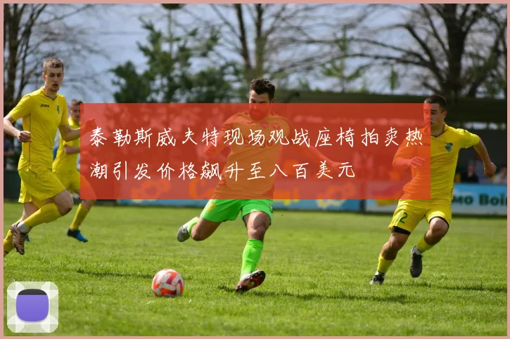 泰勒斯威夫特现场观战座椅拍卖热潮引发价格飙升至八百美元